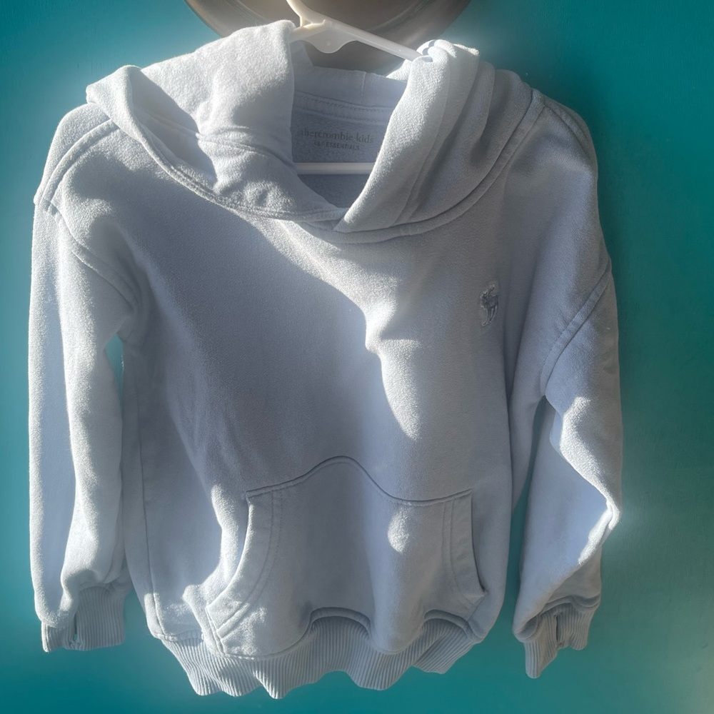 Abercrombie Kids Sky Blue Hoodie